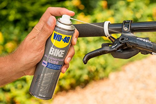 WD40 Bike Kettenspray Allwetter 250 ml, transparent